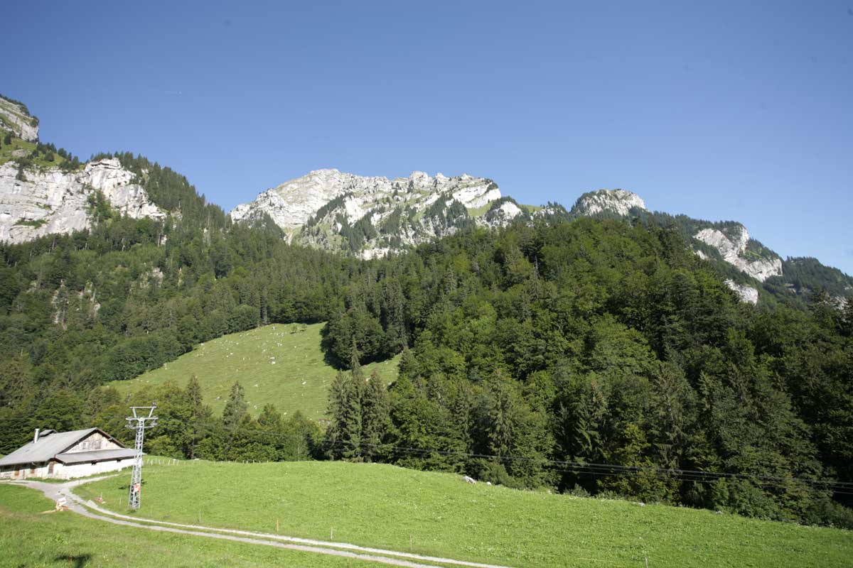 Waldhaus Stöckalp